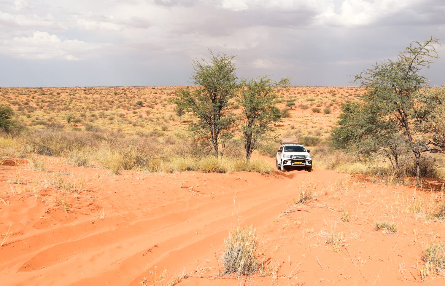 Namibia als Selbstfahrer: Tipps zu Allrad und 4x4