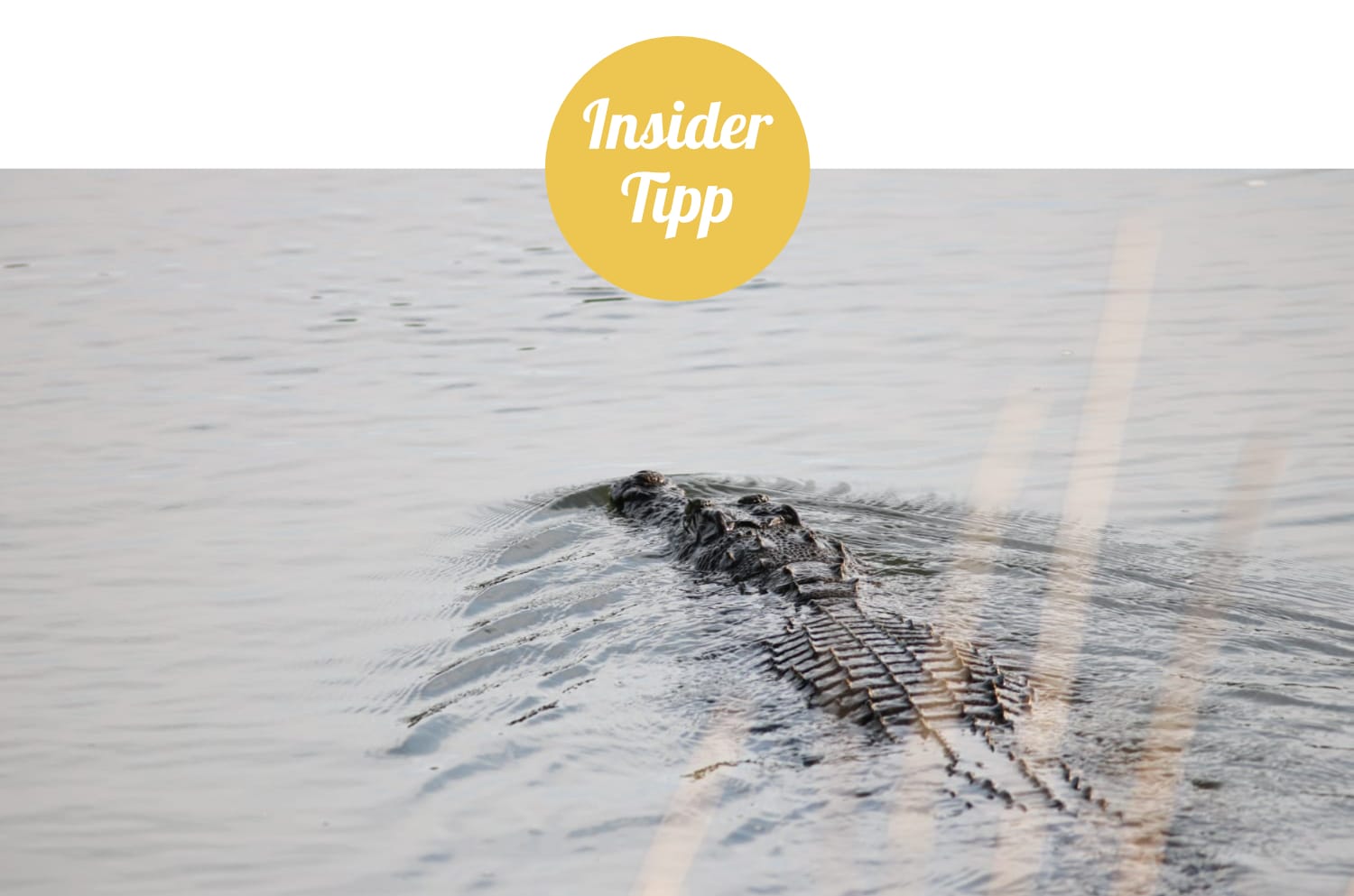 Namibia: Sehenswürdigkeiten Insidertipp - Epupa Krokodile