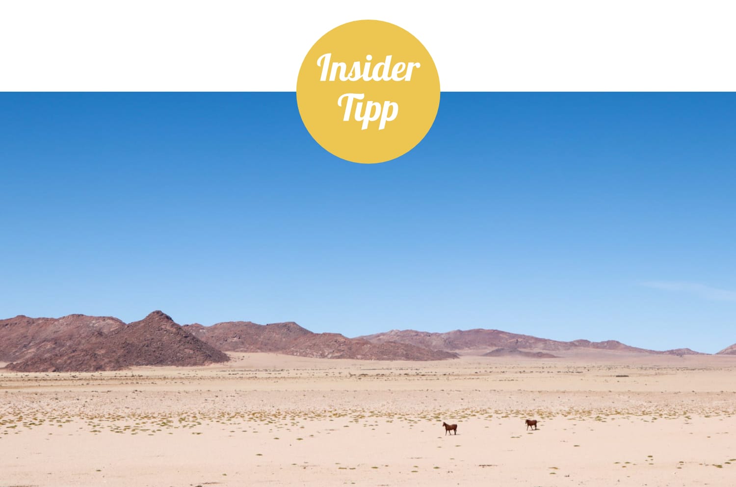 Namibia: Sehenswürdigkeiten Insidertipp - Wildpferde Aus