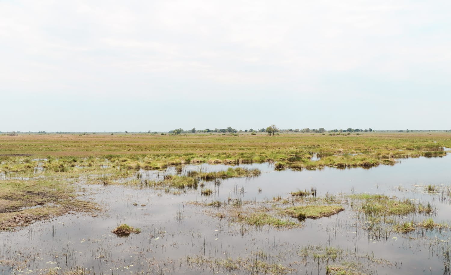 Namibia: Sehenswürdigkeiten und Reisetipps - Bwabwata Nationalpark Namibia: Sehenswürdigkeiten und Reisetipps - Bwabwata Nationalpark