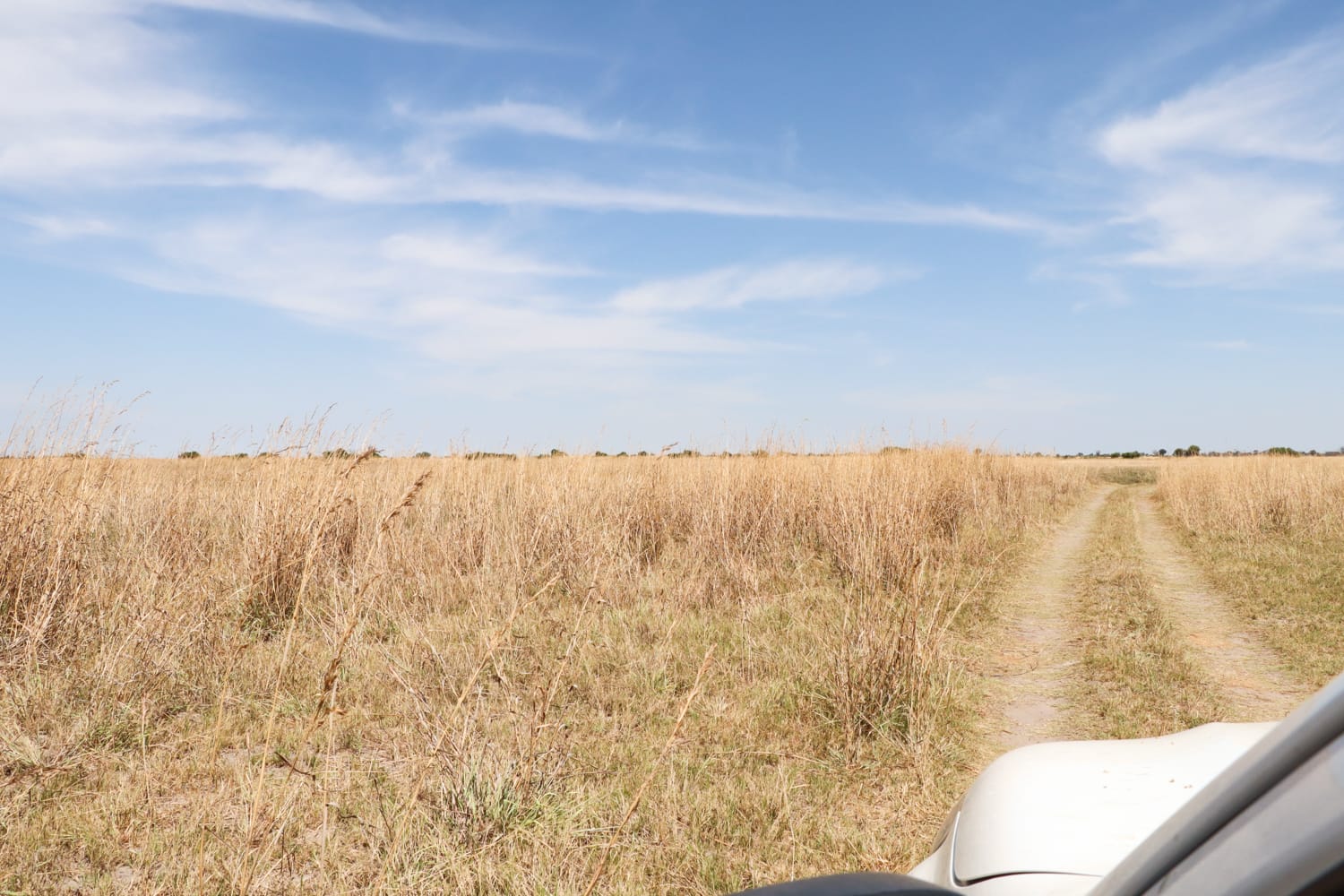 Namibia: Sehenswürdigkeiten und Reisetipps - Khaudum Nationalpark
