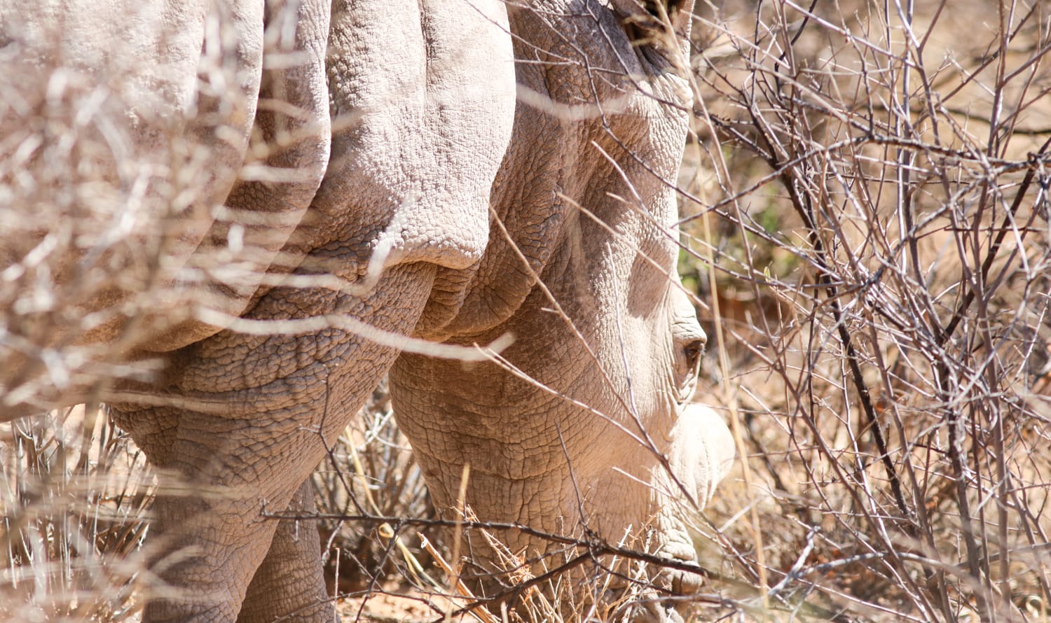 Namibia: Sehenswürdigkeiten und Reisetipps - Waterberg Namibia: Sehenswürdigkeiten und Reisetipps - Waterberg