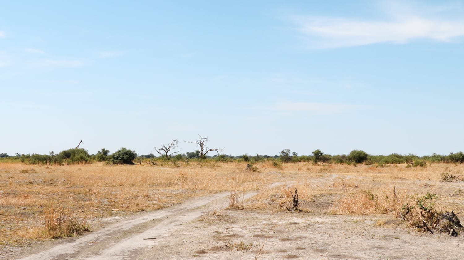Namibia als Selbstfahrer: Tipps zu Mietwagen und Allrad