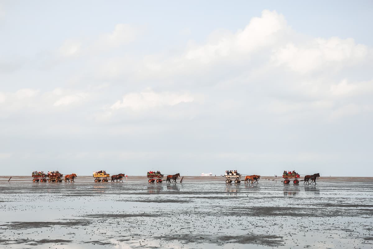 Niedersachsen - Ausflug & Städtetrip - Cuxhaven Wattwanderung Niedersachsen - Ausflug & Städtetrip - Cuxhaven Wattwanderung