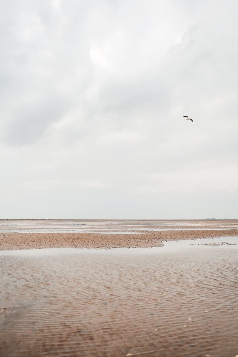 Niedersachsen - Ausflug & Städtetrip - Cuxhaven Wattwanderung Niedersachsen - Ausflug & Städtetrip - Cuxhaven Wattwanderung