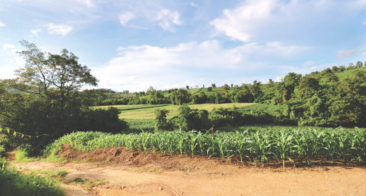 Landschaft und Felder in Pai Landschaft und Felder in Pai