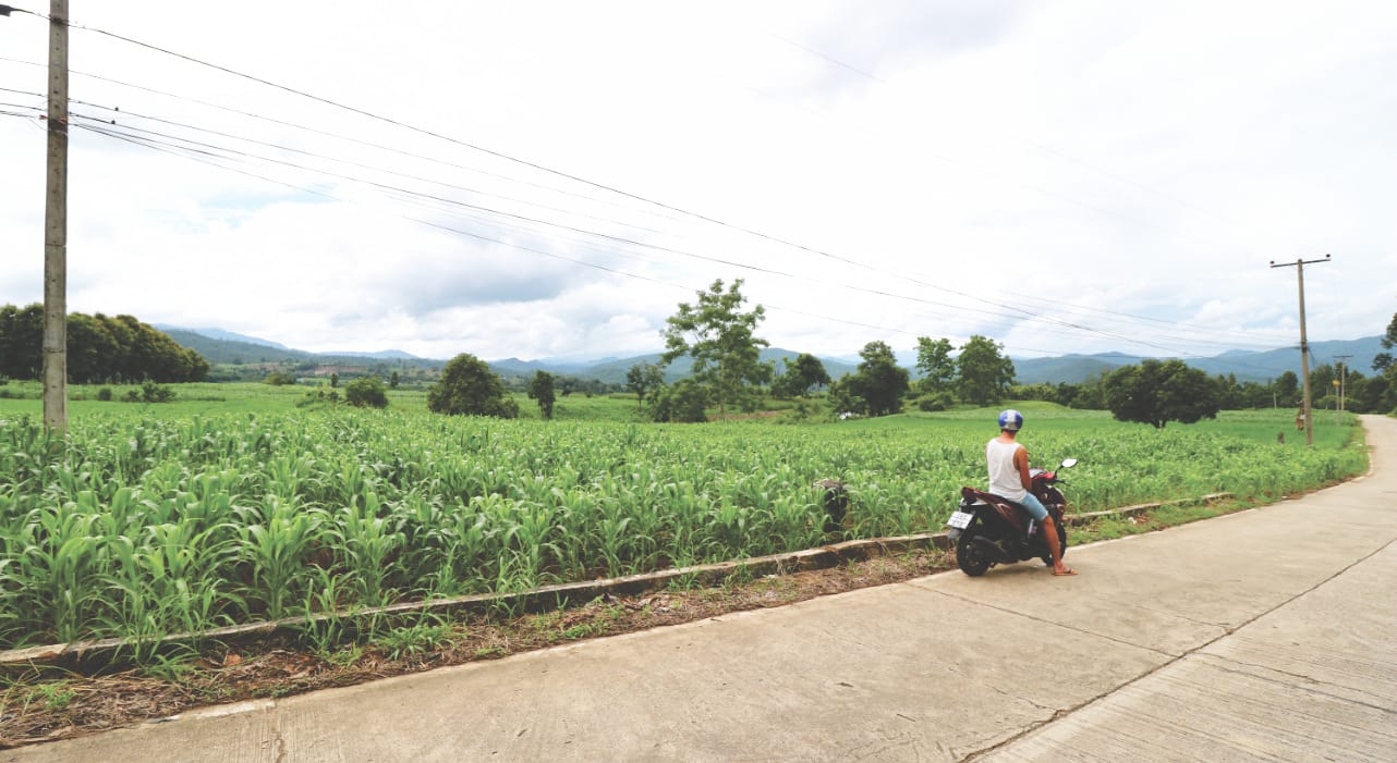 Moped Tour nach Pai Moped Tour nach Pai