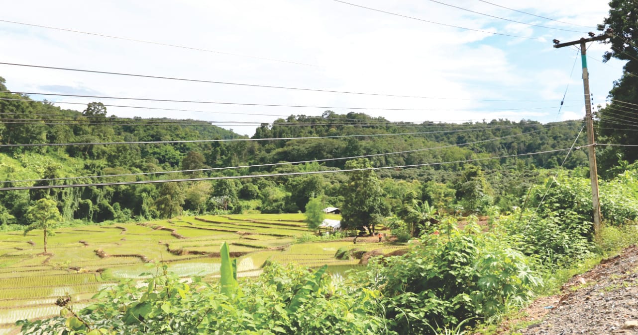 Reisfelder auf dem Weg nach Pai Reisfelder auf dem Weg nach Pai
