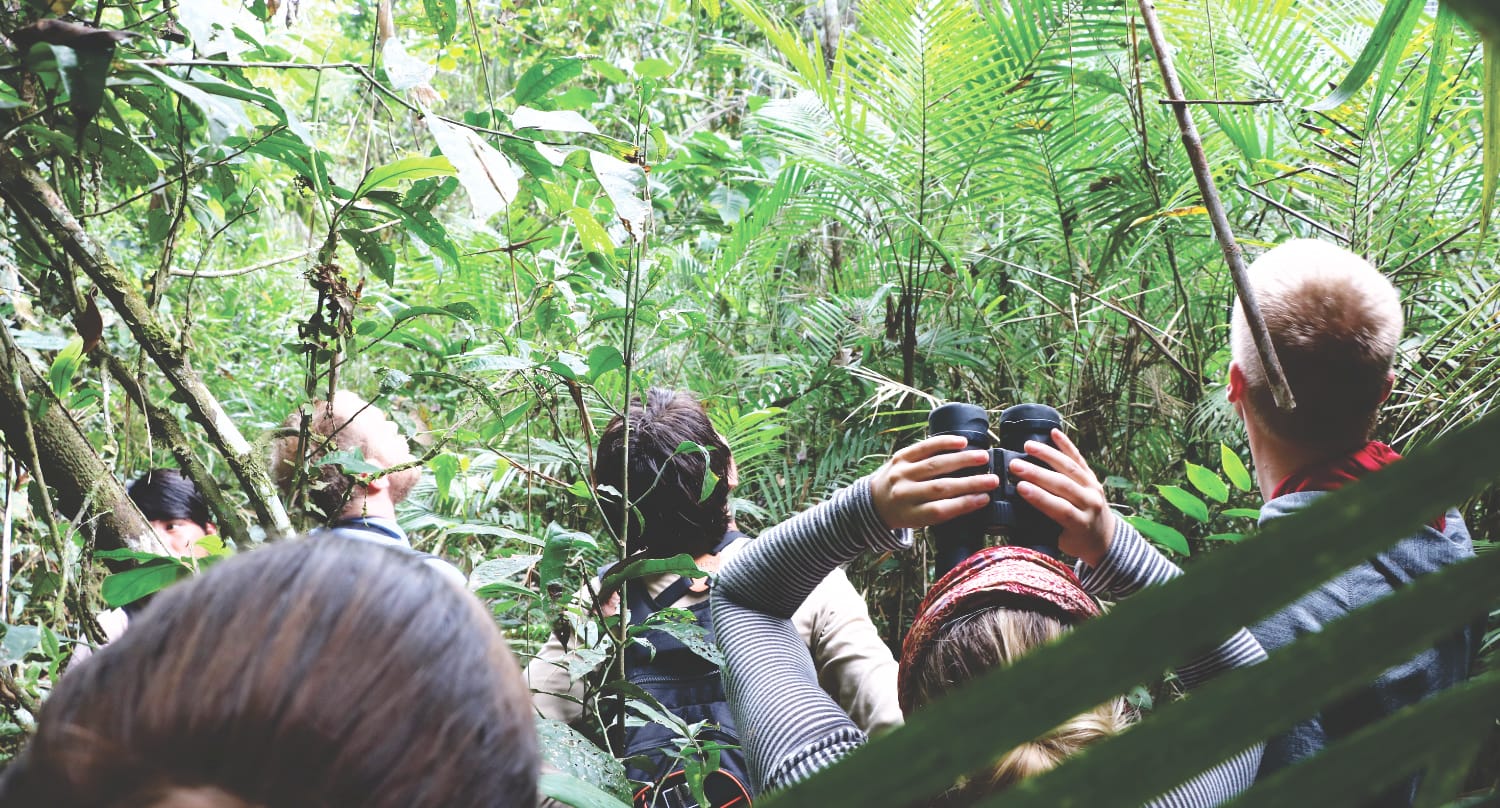 Peru Reisetipps & Sehenswürdigkeiten - Amazonas Dschungel