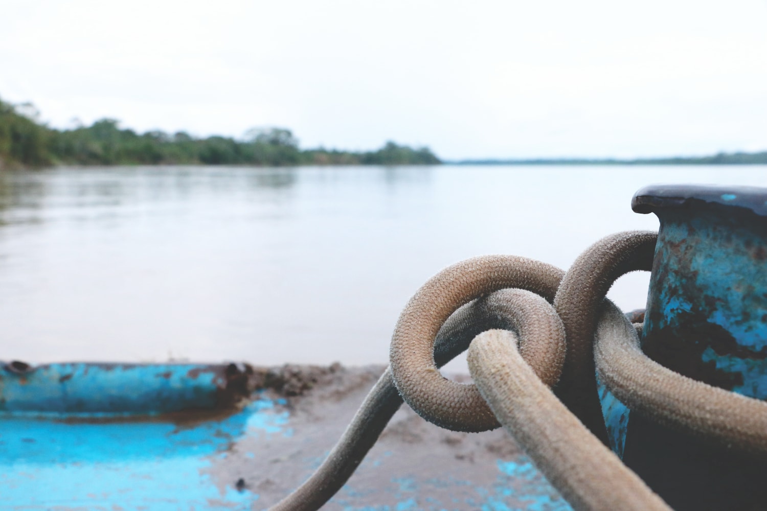 Blick auf den Amazonas Fluss Blick auf den Amazonas Fluss