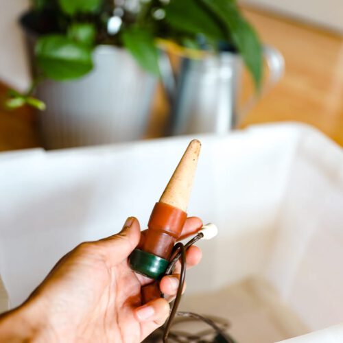 Pflanzen im Urlaub: Bewässerungssystem