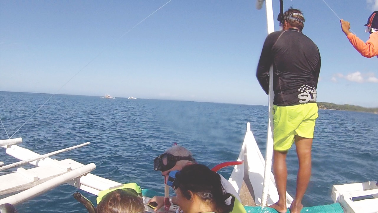 Walhai Beobachtung auf den Philippinen