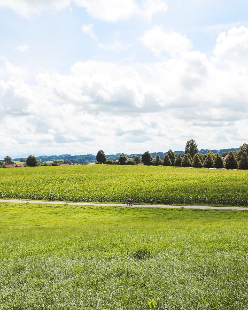 Radweg - Baden-Württemberg - Feld bei Wolfegg