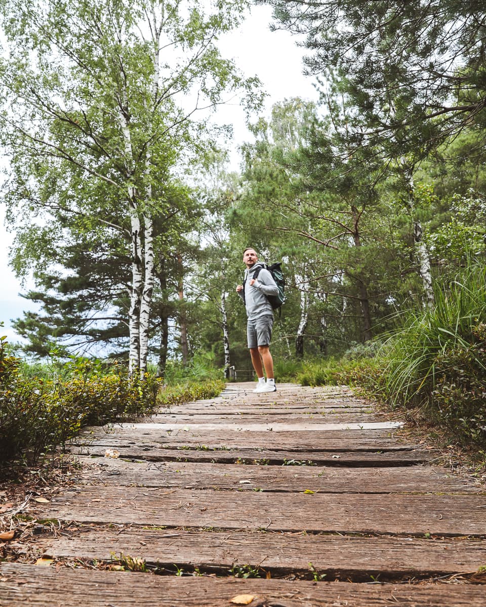 Radfernwege - Baden-Württemberg - Wurzacher Ried