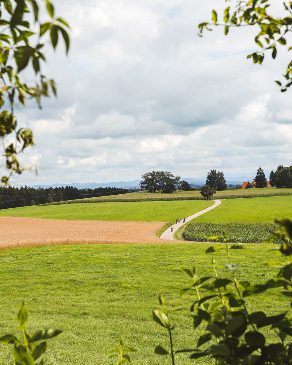 Radweg - Baden-Württemberg - Feld bei Wolfegg