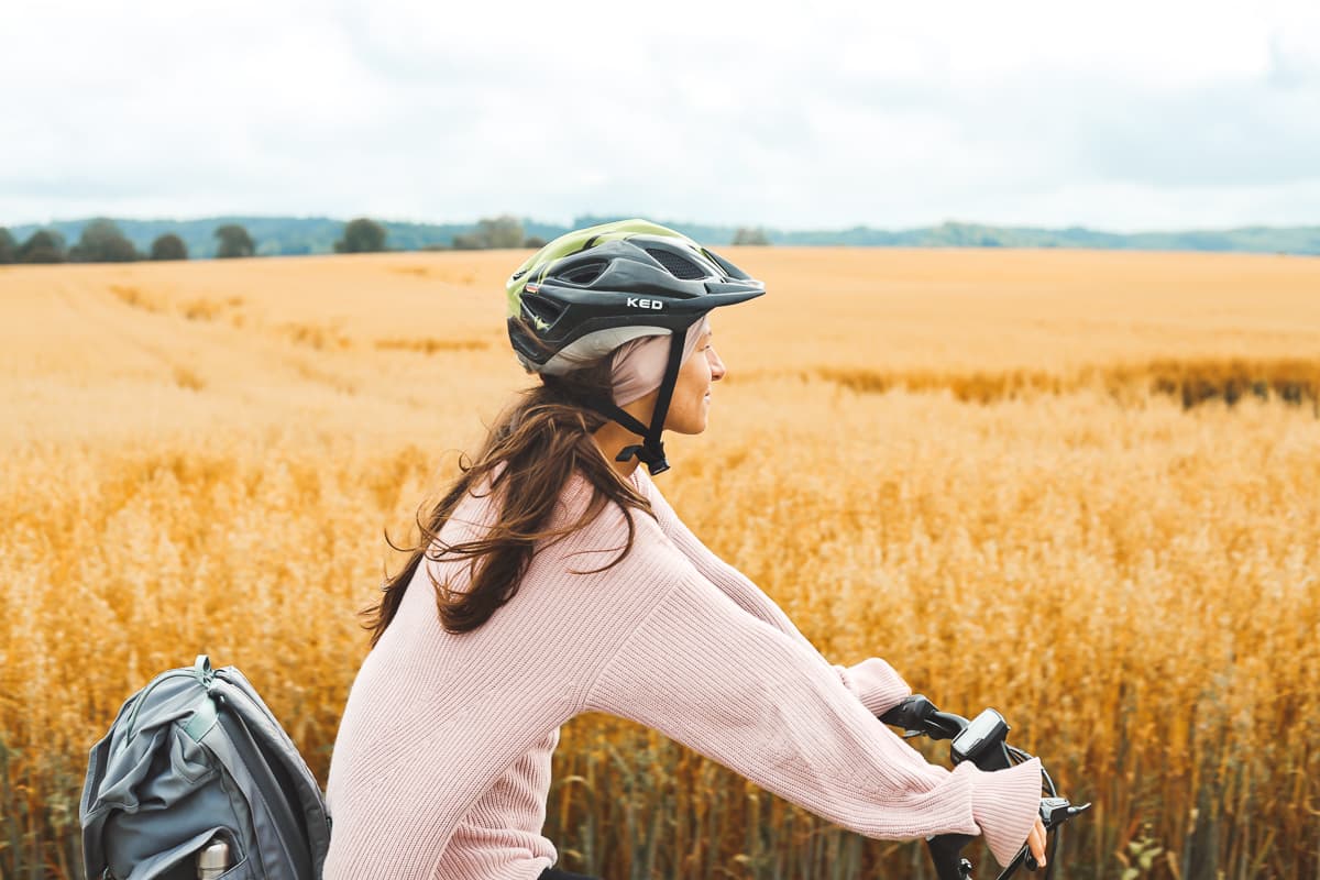 Radweg - Baden-Württemberg - Feld bei Wangen