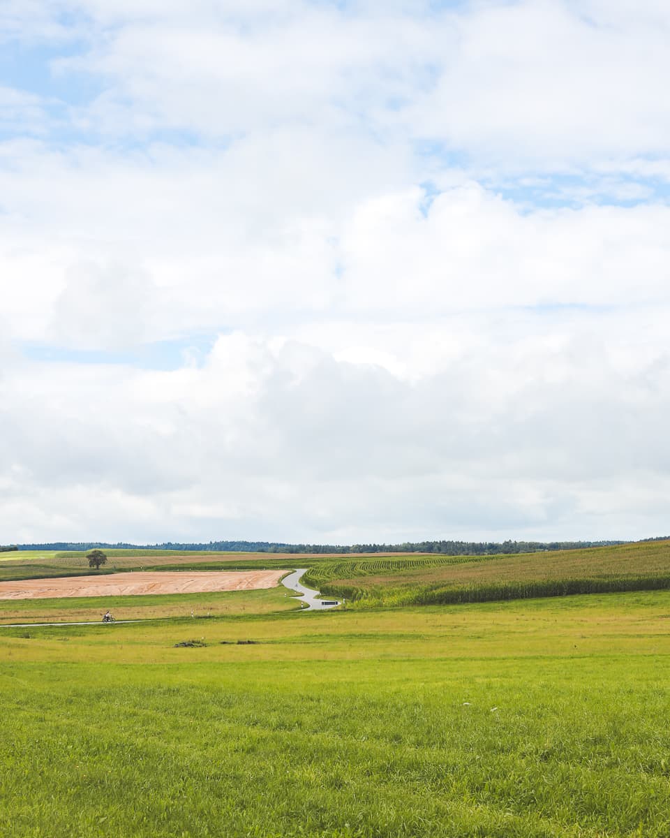 Radweg - Baden-Württemberg - Feld bei Wangen