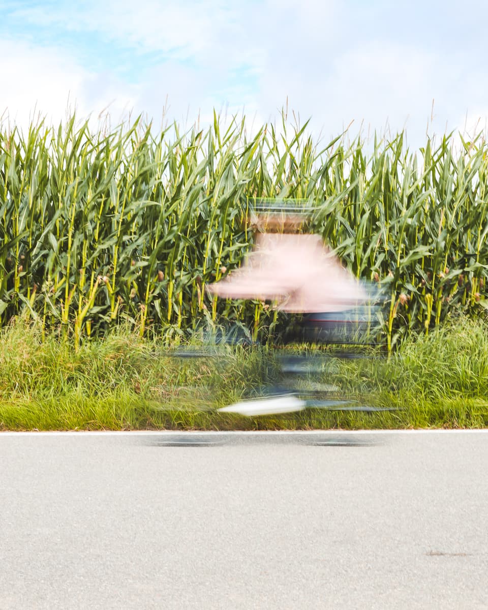 Radweg - Baden-Württemberg - Feld bei Wangen