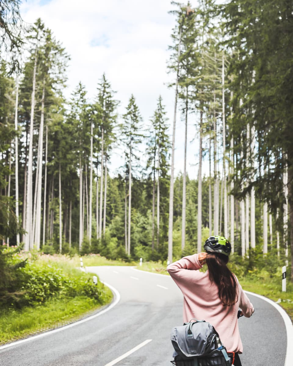 Radweg - Baden-Württemberg - Oberschwaben - Wald