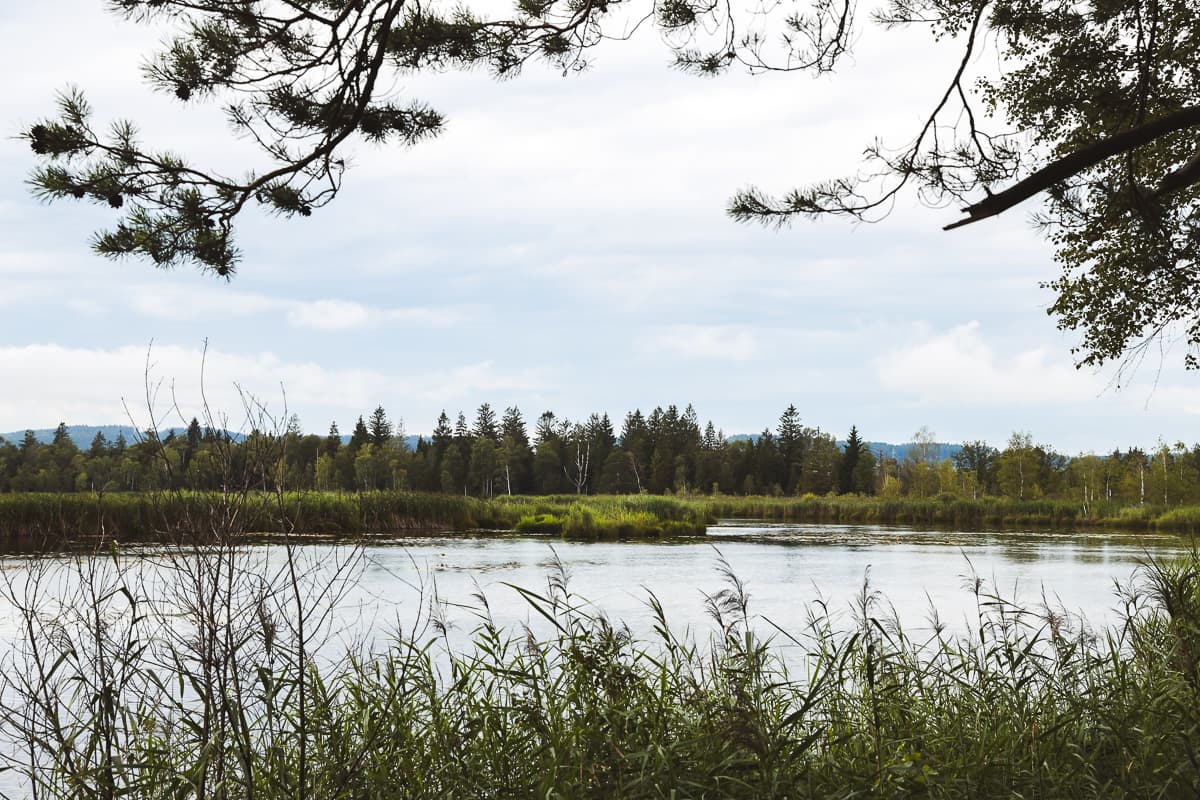Radwege - Baden-Württemberg - Wurzacher Ried