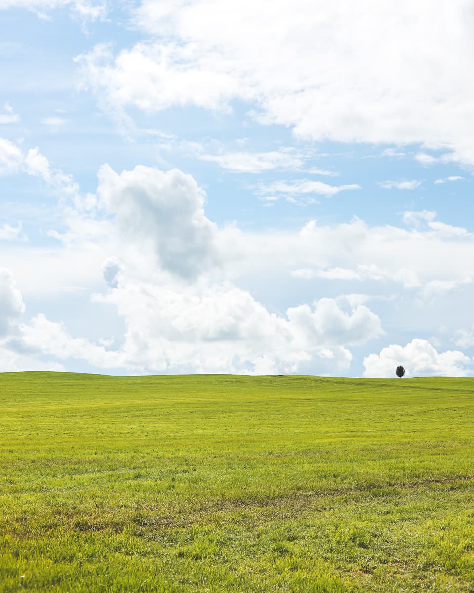 Radweg - Baden-Württemberg - Wiesen