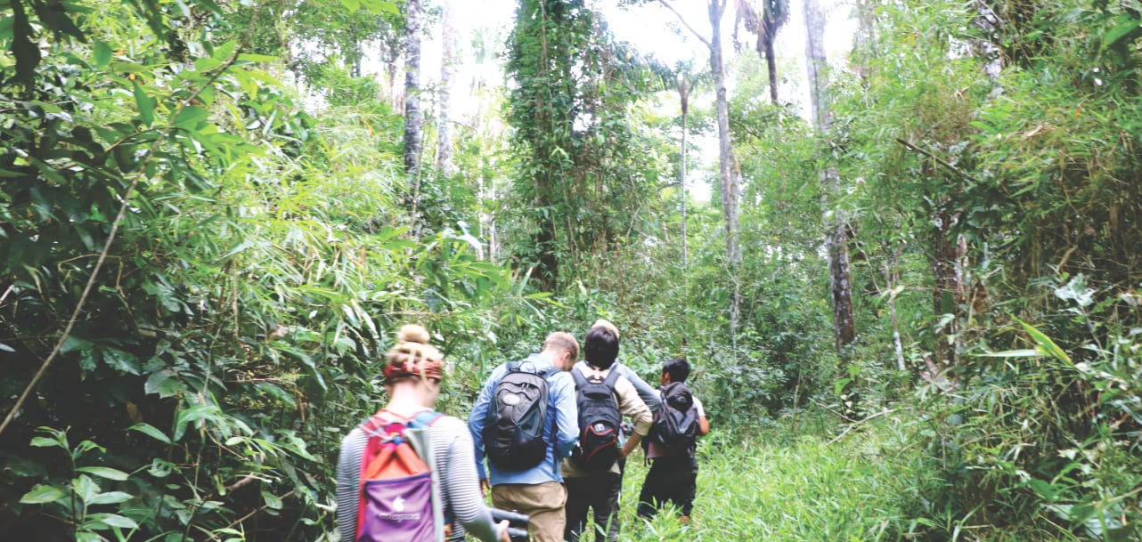 Wandern im Amazonas