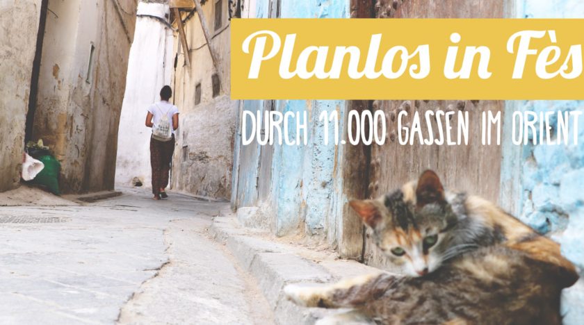 Reisebericht Marokko: Planlos in Fes