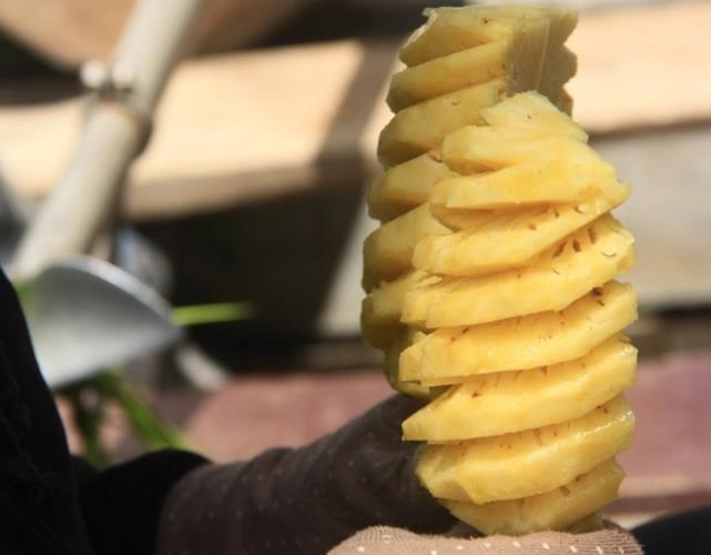 Ananas in Vietnam