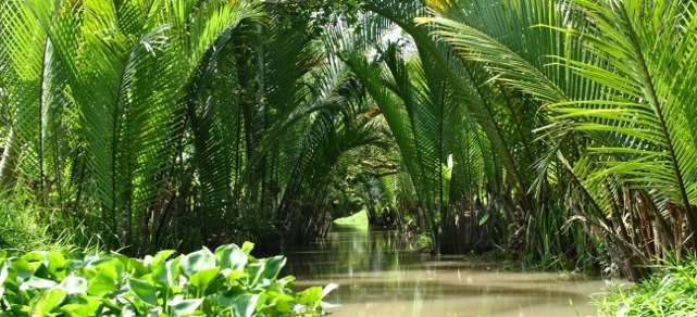Tour durchs Mekong Delta