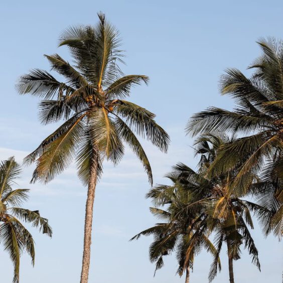 Reisetipps - Reisen/Weltreise - Wo buche ich was?