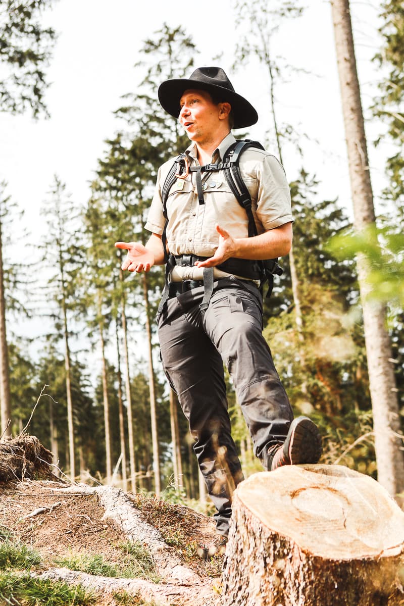 Rheinland-Pfalz - Ausflugsziel & Sehenswürdigkeiten - Nationalpark Hunsrück