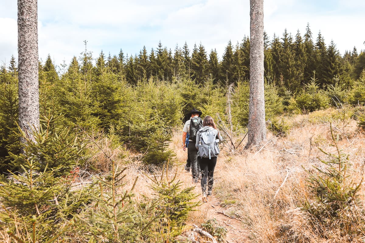 Rheinland-Pfalz - Ausflugsziel & Sehenswürdigkeiten - Nationalpark Hunsrück