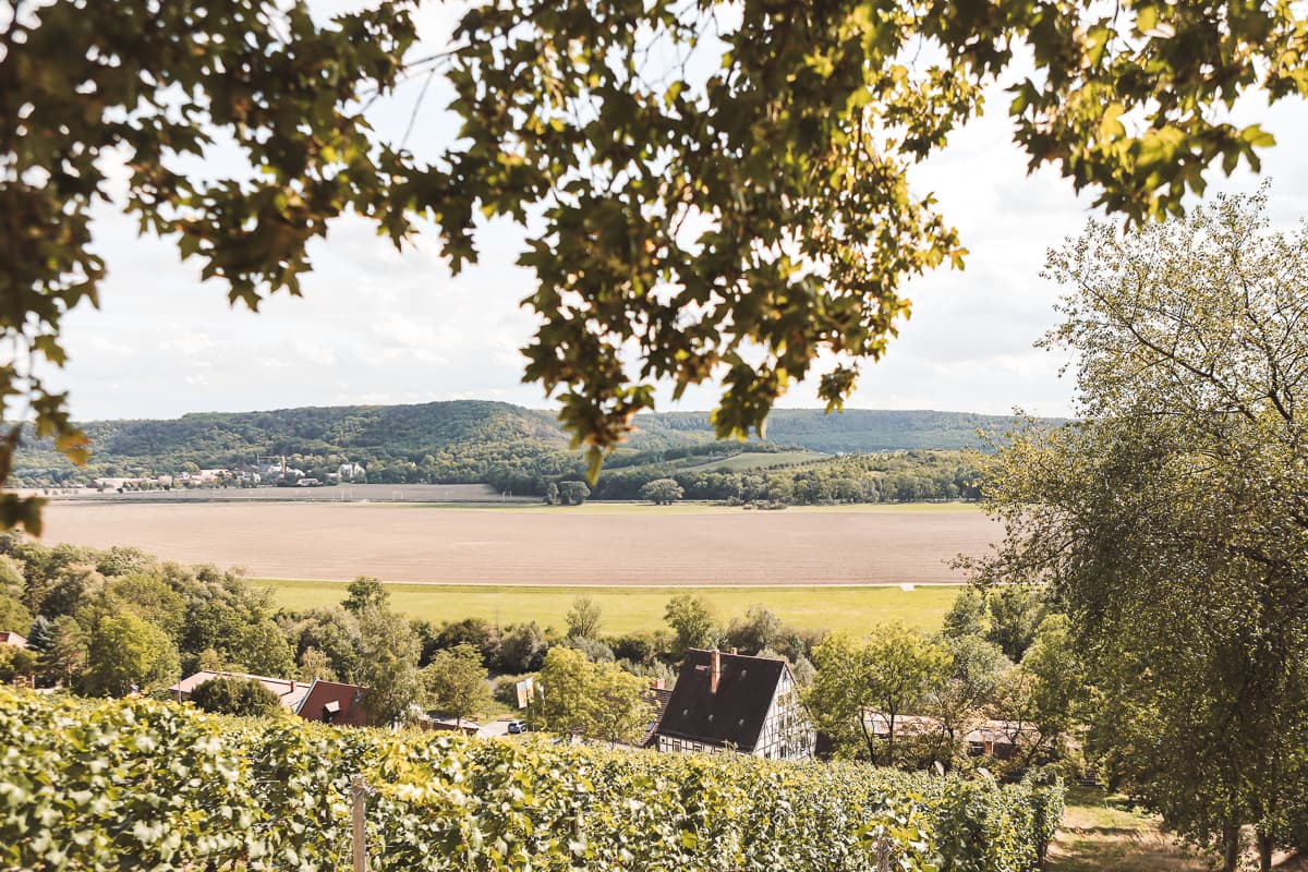 Sachsen-Anhalt - Ausflugsziel & Sehenswürdigkeiten - Landweingut Kloster Pforta Sachsen-Anhalt - Ausflugsziel & Sehenswürdigkeiten - Landweingut Kloster Pforta