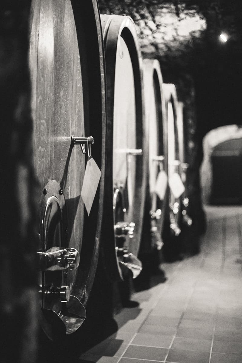 Sachsen-Anhalt - Ausflugsziel & Sehenswürdigkeiten - Landweingut Kloster Pforta Sachsen-Anhalt - Ausflugsziel & Sehenswürdigkeiten - Landweingut Kloster Pforta