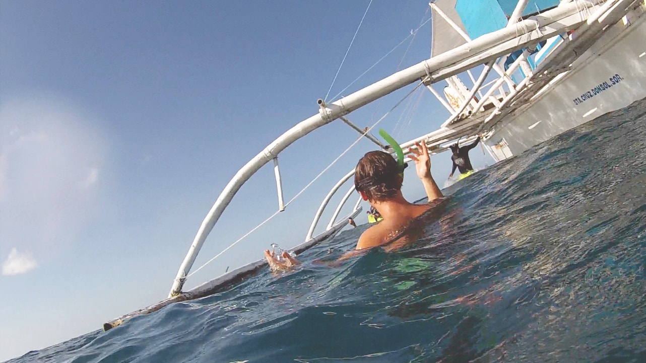 Schnorcheln mit Walhaien in Donsol