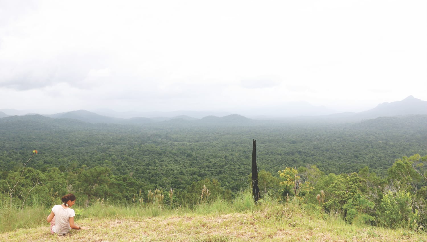 Belize Sehenswürdigkeiten - Cockscomb Nationalpark
