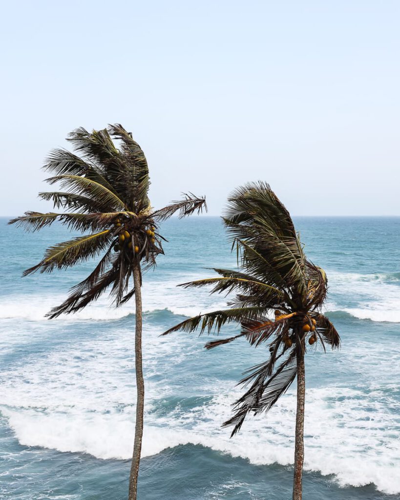 Sri Lanka - Beste Reisezeit - Süden