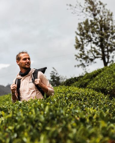 Sri Lanka - Sehenswürdigkeiten & Highlights - Nuwara Eliya - Teeplantage