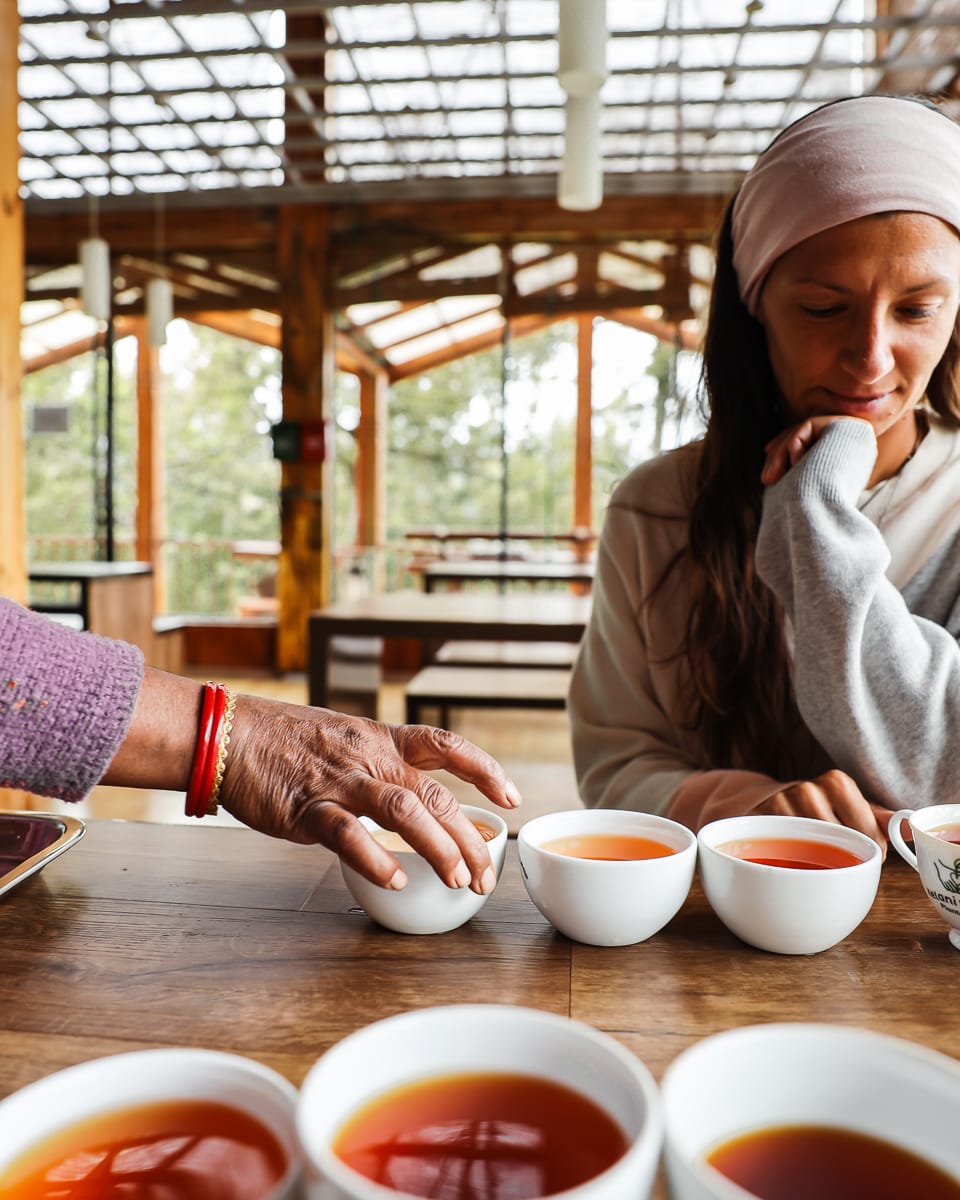 Sri Lanka - Sehenswürdigkeiten & Highlights - Nuwara Eliya - Teeplantage