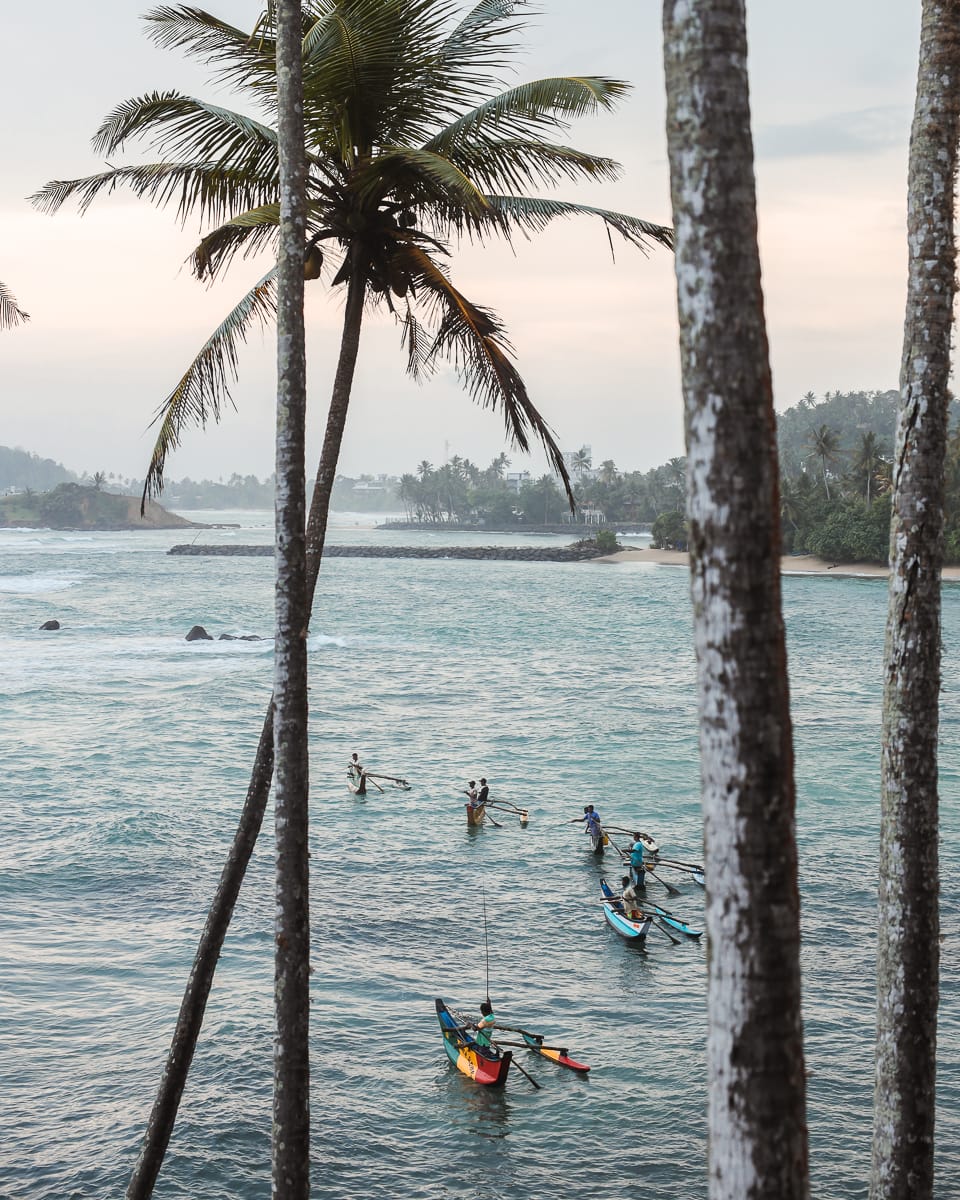 Sri Lanka - Sehenswürdigkeiten & Highlights - Mirissa - Coconut Tree Hill