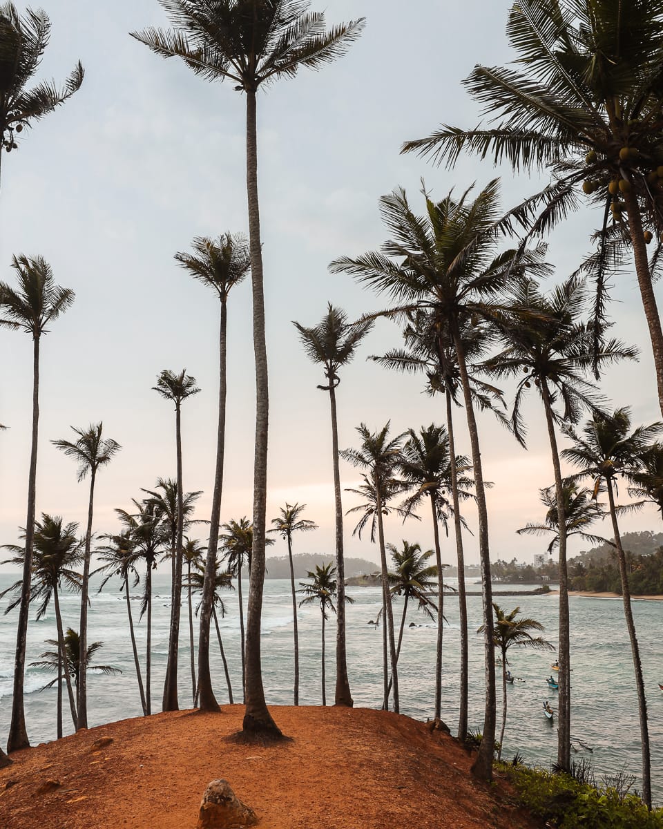 Sri Lanka - Sehenswürdigkeiten & Highlights - Mirissa - Coconut Tree Hill