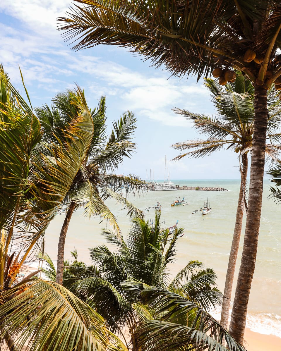 Sri Lanka - Unterkunft/Hotel - Mamma Mia Mirissa