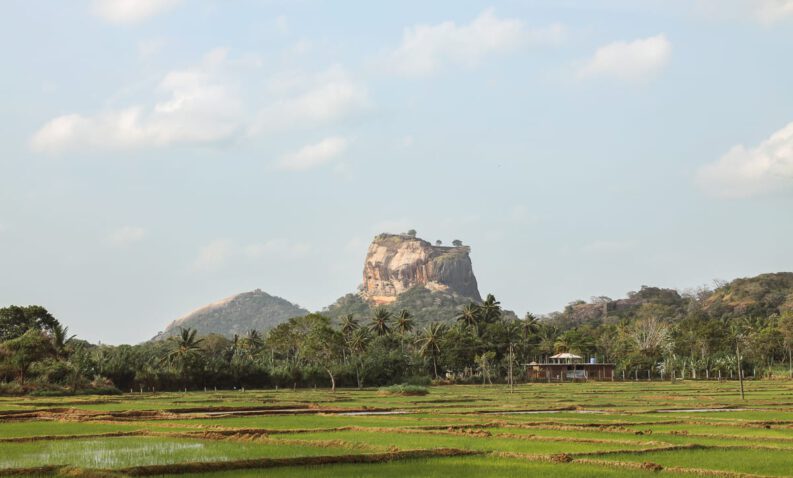 Sri Lanka - Unterkunft/Hotel - Nice View Lodge
