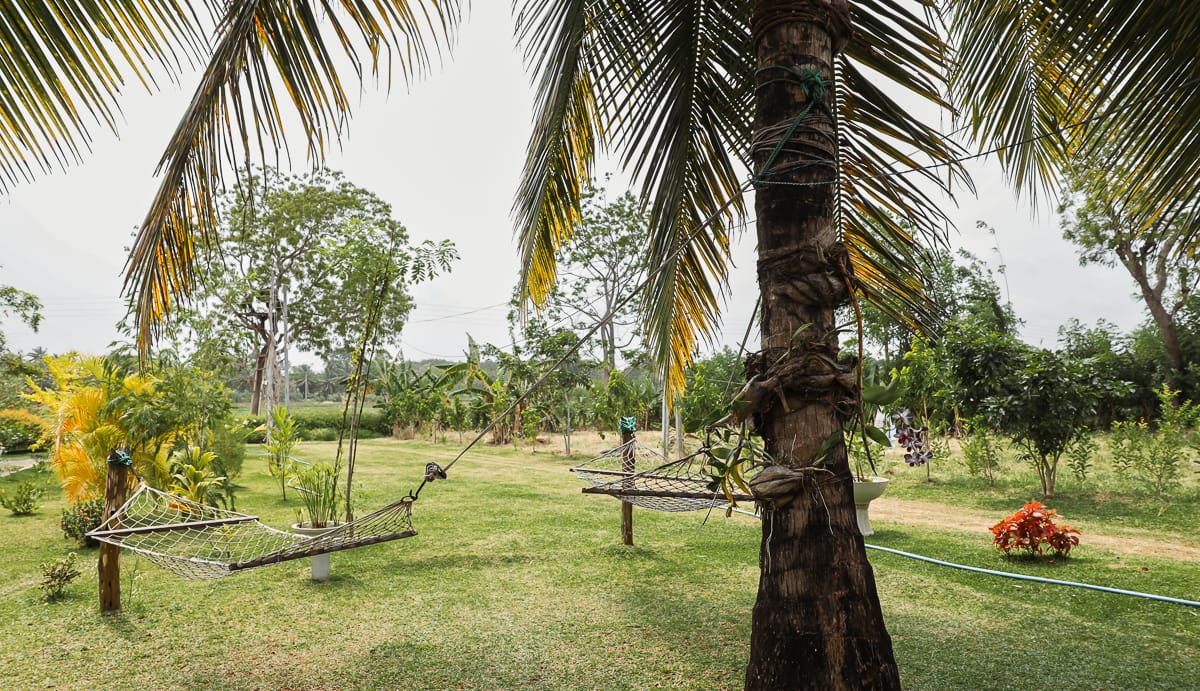 Sri Lanka - Unterkunft/Hotel - Nice View Lodge