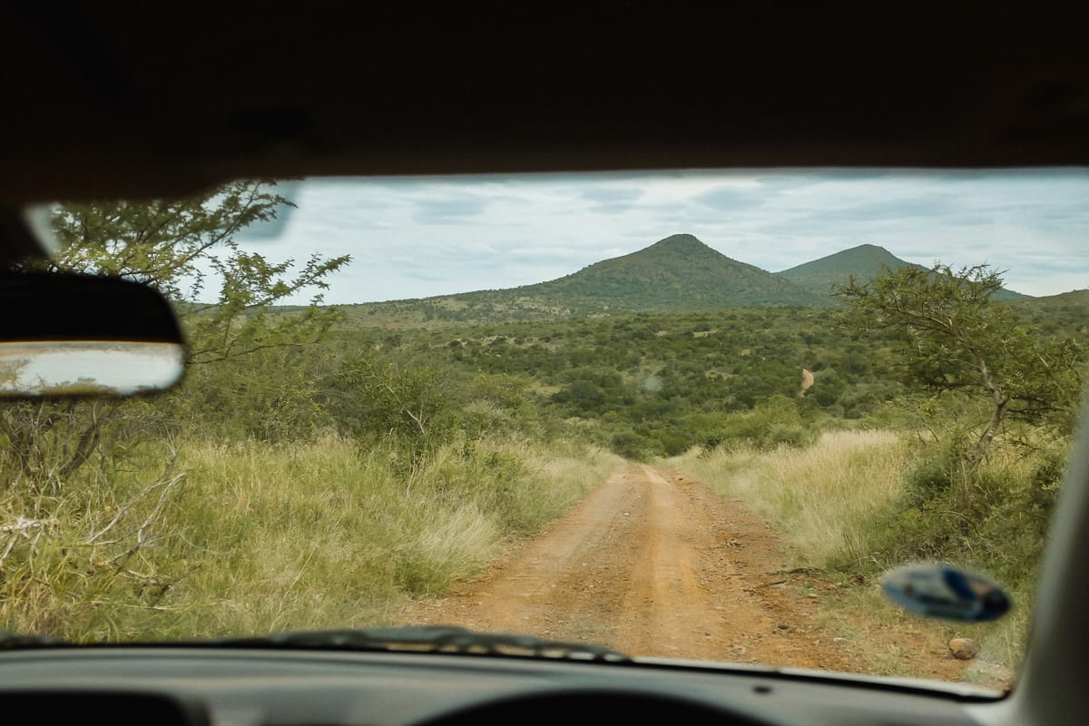Südafrika Sehenswürdigkeiten & Highlights -Hluhluwe–iMfolozi National Park - Strasse