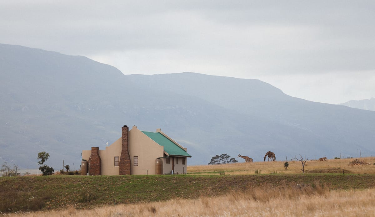 Südafrika - Unterkunft bei Swellendam - Kwetu Farm Südafrika - Unterkunft bei Swellendam - Kwetu Farm