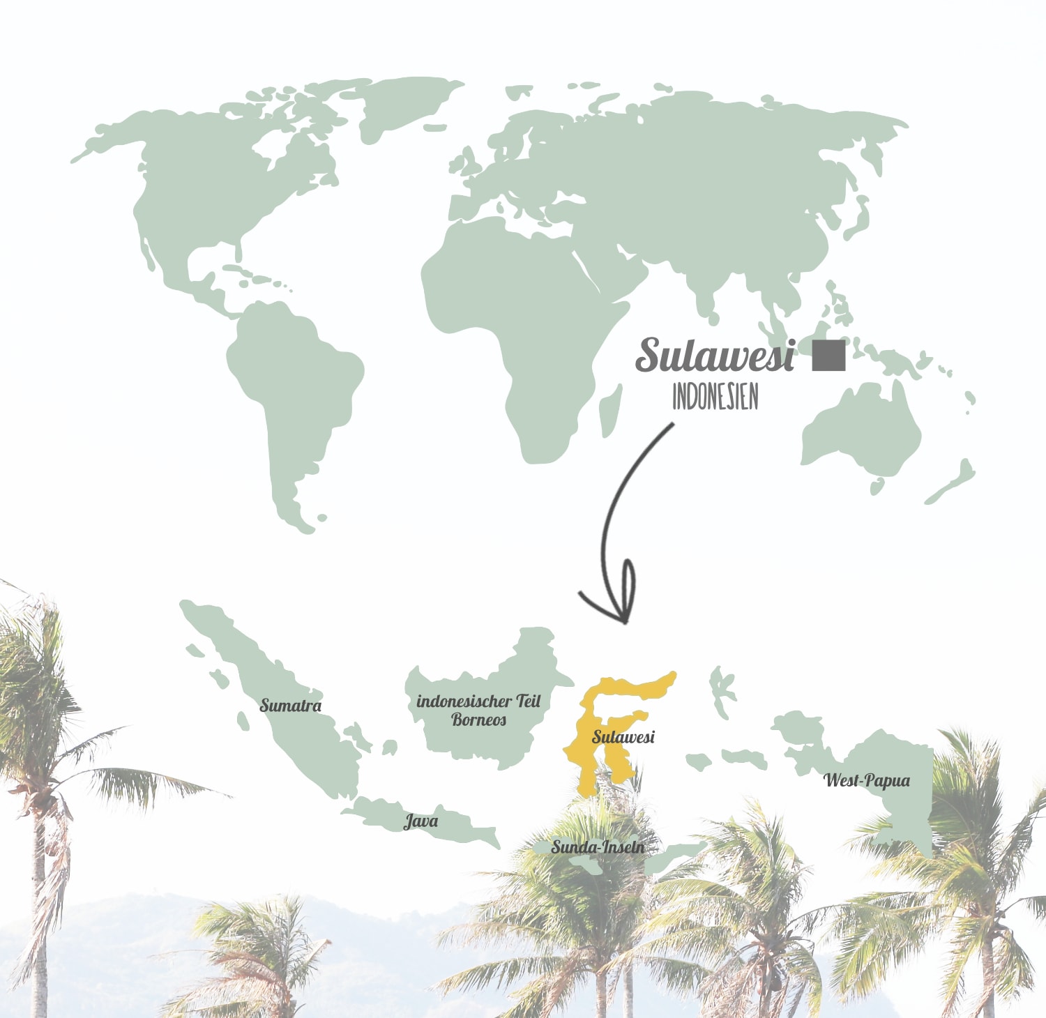 Sulawesi auf der Karte