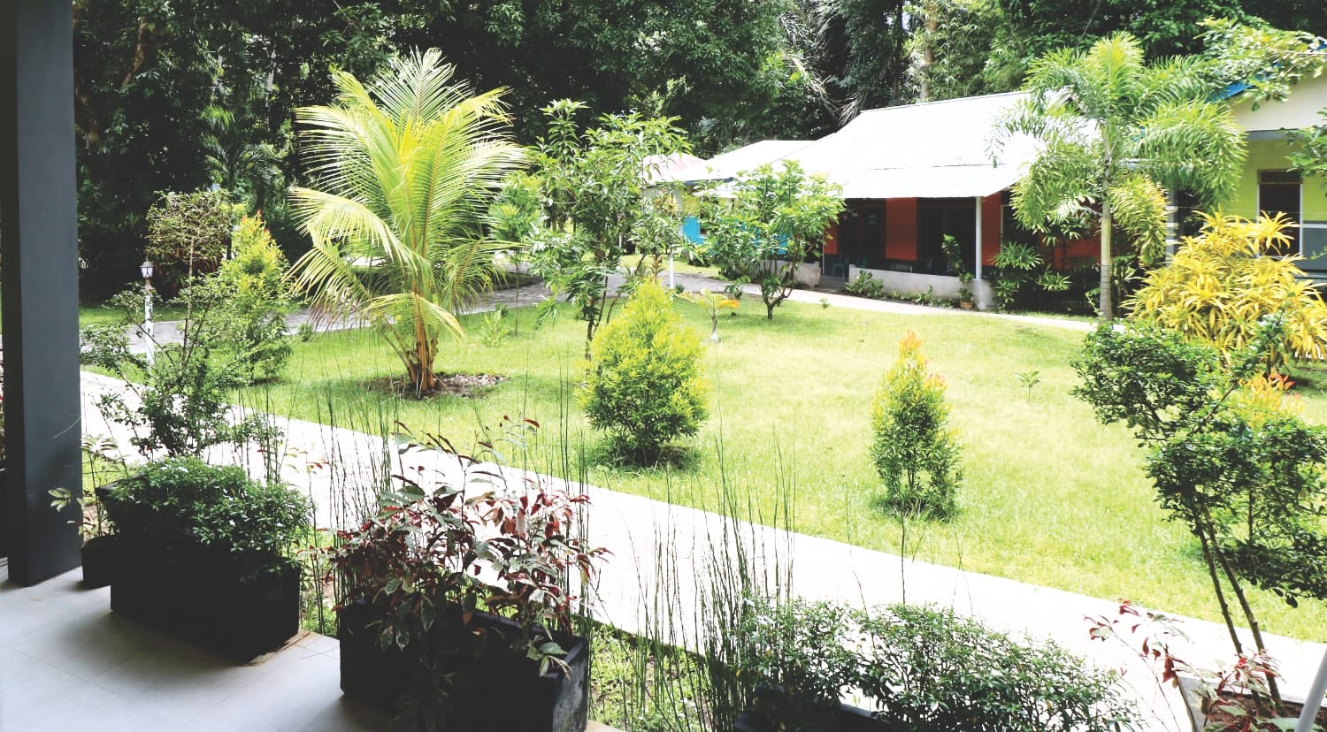 Sulawesi Unterkunft - Tangkoko - Nationalpark