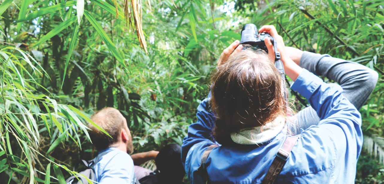 Tapiche Reserve: Dschungel Fotografie