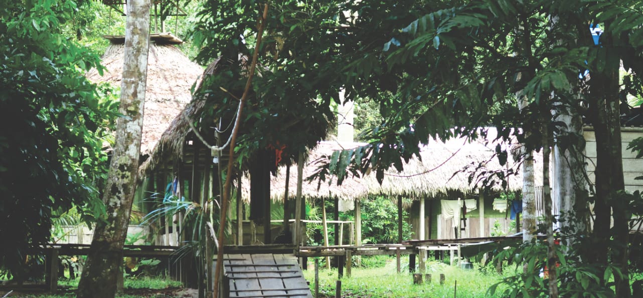 Tapiche Reserve Reisebericht